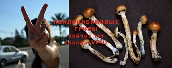 ПСИЛОЦИБИНОВЫЕ ГРИБЫ Армянск
