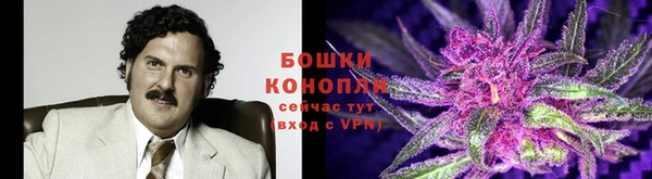 ПСИЛОЦИБИНОВЫЕ ГРИБЫ Армянск